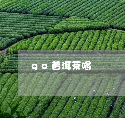 go普洱茶喝/2023042793709