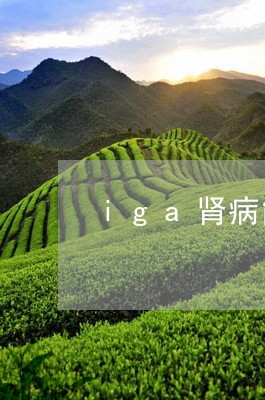 iga肾病能喝普洱茶/2023080375057