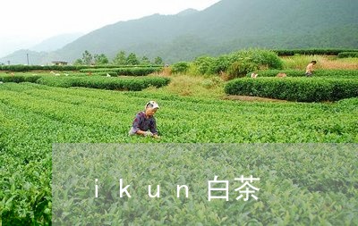 ikun白茶/2023051273726