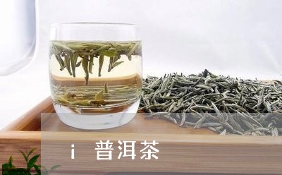 i普洱茶/2023110831696