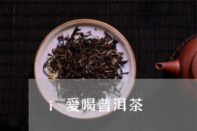 i爱喝普洱茶/2023042672605