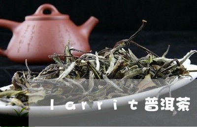 larrit普洱茶/2023091504847