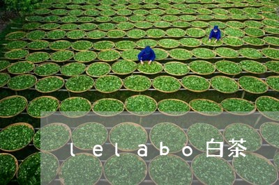 lelabo白茶/2023061416289