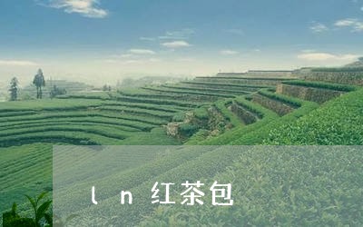 ln红茶包/2023121982492