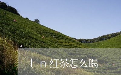 ln红茶怎么喝/2023042907288