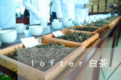 lofter白茶/2023061472837