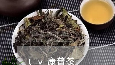 lv康普茶/2023090208572