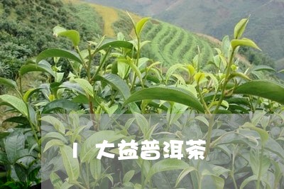 l大益普洱茶/2023090658361