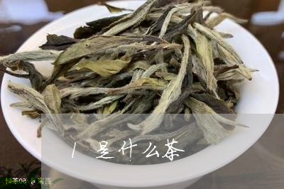 l是什么茶/2023090212825