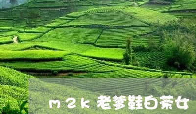 m2k老爹鞋白茶女/2023071333758