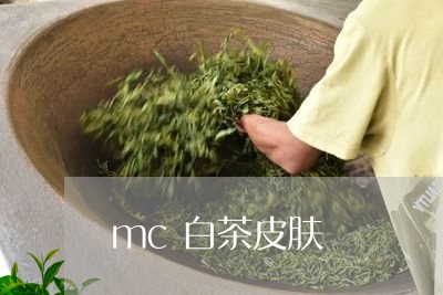 mc白茶皮肤/2023051238471