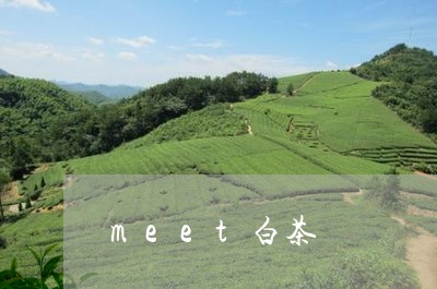 meet白茶/2023051283836