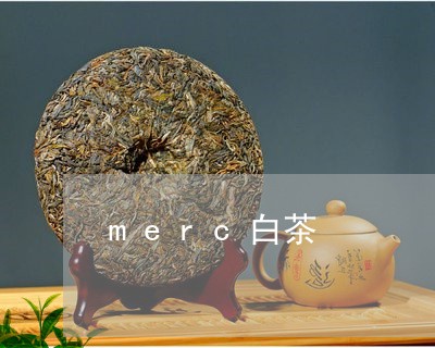 merc白茶/2023051204149