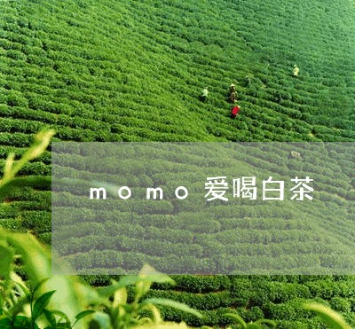 momo爱喝白茶/2023062953015