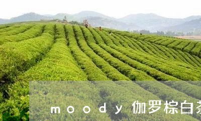 moody伽罗棕白茶/2023092785928