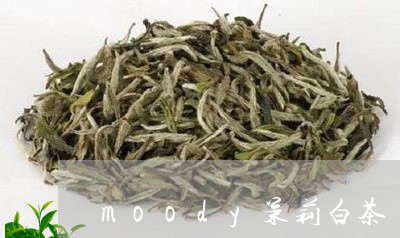 moody茉莉白茶/2023121647250