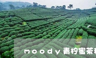 moody青柠蜜茶和茉莉白茶/2023111451623