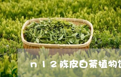 n12陈皮白茶植物饮料多少钱/2023111452605