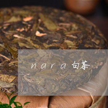 nara白茶/2023051283940