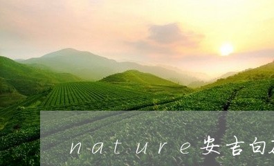 nature安吉白茶/2023092736147