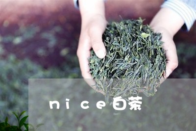 nice白茶/2023051279572