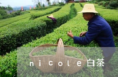 nicole白茶/2023061413793