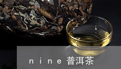 nine普洱茶/2023102666150