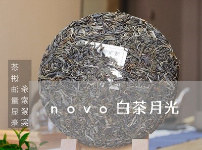 novo白茶月光/2023061406714