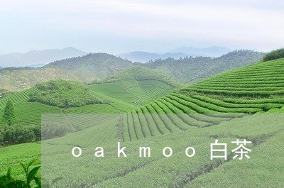 oakmoo白茶/2023061430281