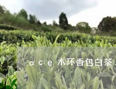 oce木环香包白茶/2023071492793