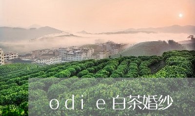 odie白茶婚纱/2023061488482