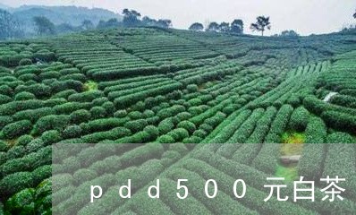 pdd500元白茶/2023071302826