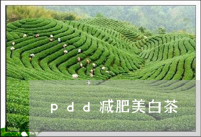 pdd减肥美白茶/2023061415282