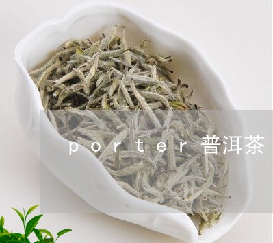 porter普洱茶/2023091584836