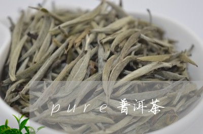 pure普洱茶/2023102649484