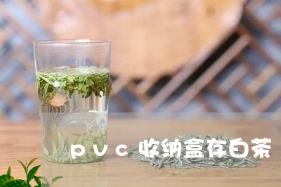 pvc收纳盒存白茶/2023121635848