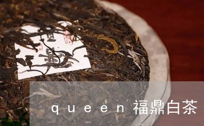 queen福鼎白茶/2023062869560