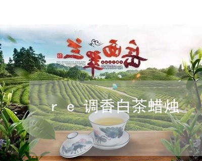 re调香白茶蜡烛/2023061467261