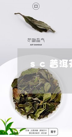 sc普洱茶生茶/2023120327269