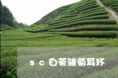 sc白茶雏菊耳环/2023061434817