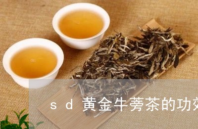 sd黄金牛蒡茶的功效/2023071569603