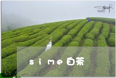 sime白茶/2023051215169