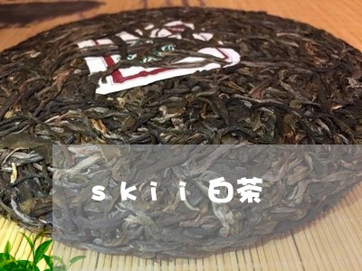 skii白茶/2023051204836