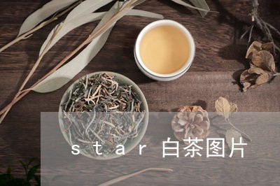 star白茶图片/2023061470715