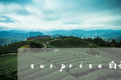 surprise白茶/2023092795138