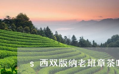 s西双版纳老班章茶叶/2023092447461