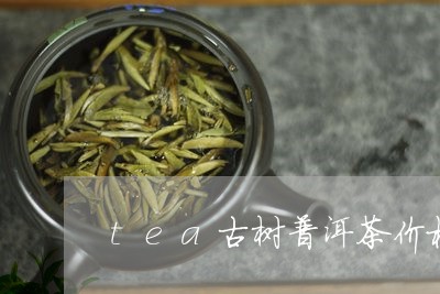 tea古树普洱茶价格/2023080333714