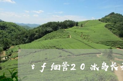 tf细管20冰岛长茶推荐/2023051239704