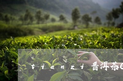 tianzi普洱茶6/2023062826047