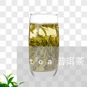 toa普洱茶/2023042858622